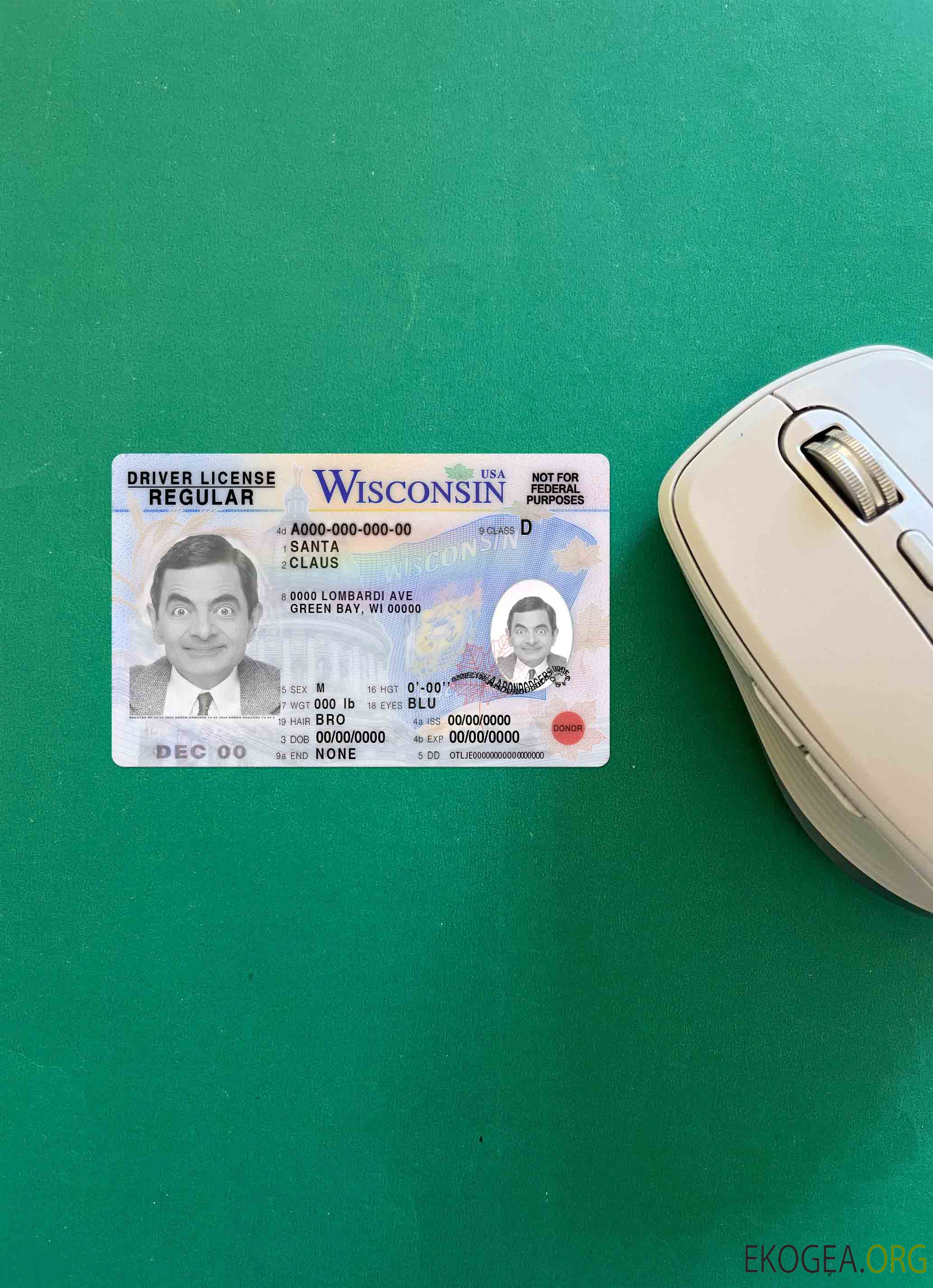 USA Wisconsin DL photolook AVANT